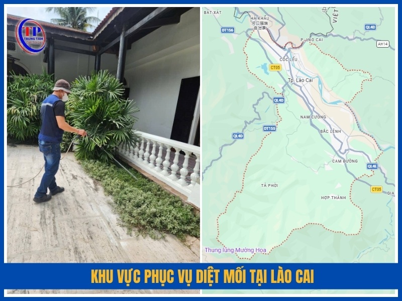 Khu vực phục vụ diệt mối tại Lào Cai