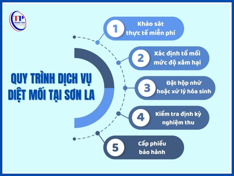 Quy trình dịch vụ diệt mối tại Sơn La