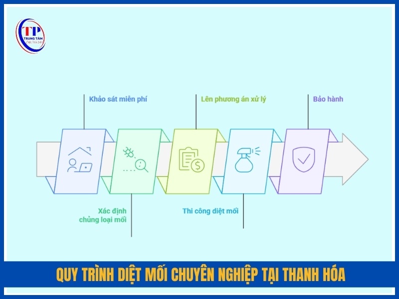 Quy trình diệt mối chuyên nghiệp tại Thanh Hóa