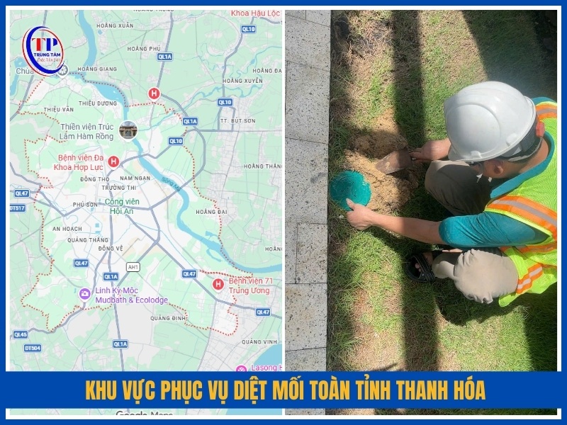 Khu vực phục vụ diệt mối toàn tỉnh Thanh Hóa
