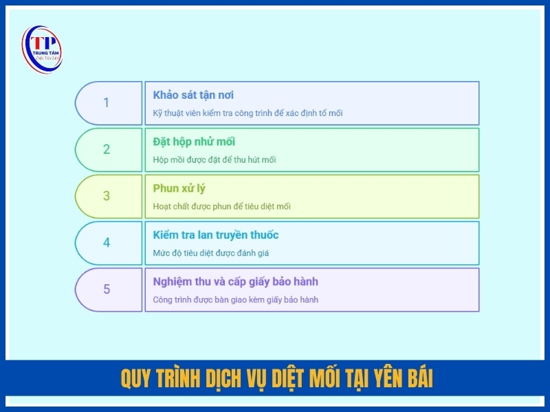 Quy trình dịch vụ diệt mối tại Yên Bái