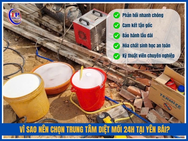Vì sao nên chọn Trung Tâm Diệt Mối 24H tại Yên Bái?