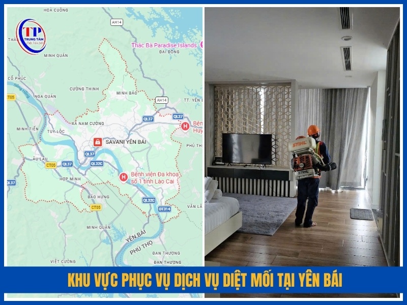 Khu vực phục vụ dịch vụ diệt mối tại Yên Bái