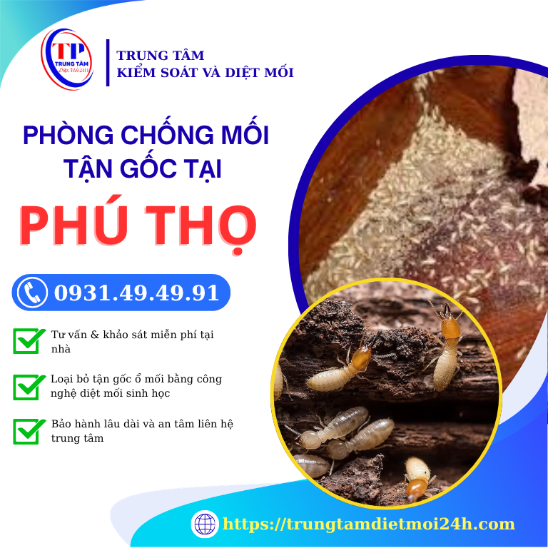 Dịch vụ phòng chống mối uy tín tại Phú Thọ