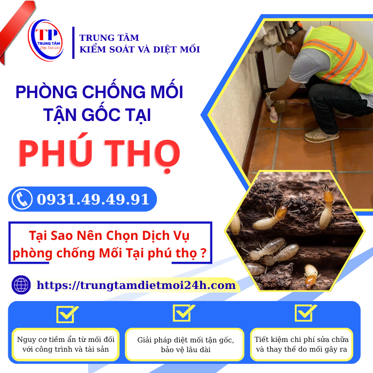 Tác hại của loài mối đối với công trình