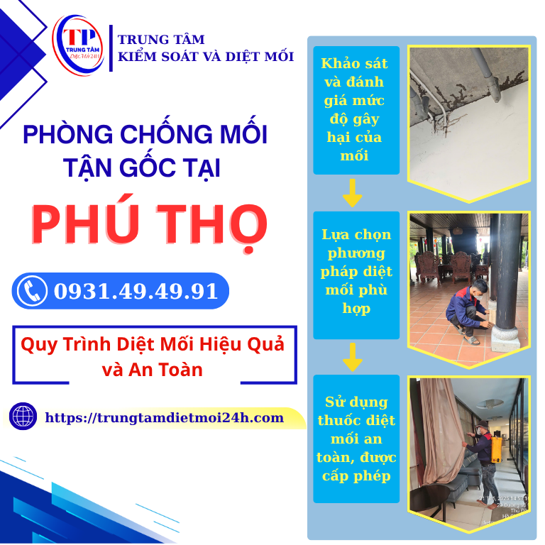 Cam kết dịch vụ phòng chống mối