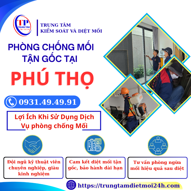 Cam kết dịch vụ phòng chống mối