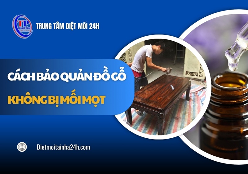 Cách bảo quản đồ gỗ không bị mối mọt HIỆU QUẢ tại nhà