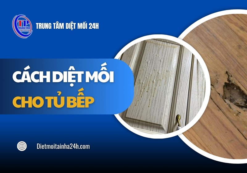Cách diệt mối cho tủ bếp đơn giản nhưng cực HIỆU QUẢ