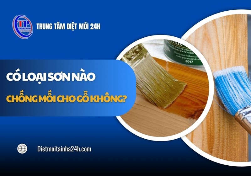 Có loại sơn nào chống mối cho gỗ không? 3 loại PHỔ BIẾN