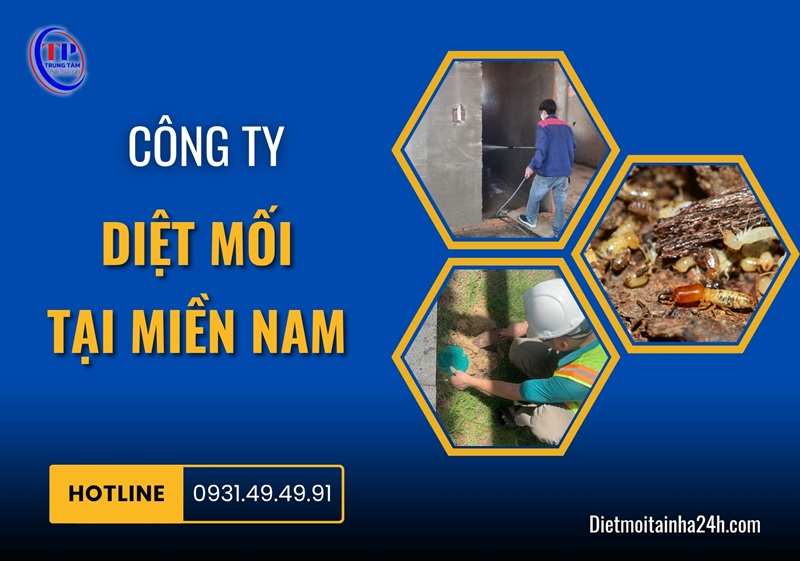 Công ty diệt mối tại miền Nam tận gốc GIÁ RẺ uy tín - Dietmoitainha24h.com