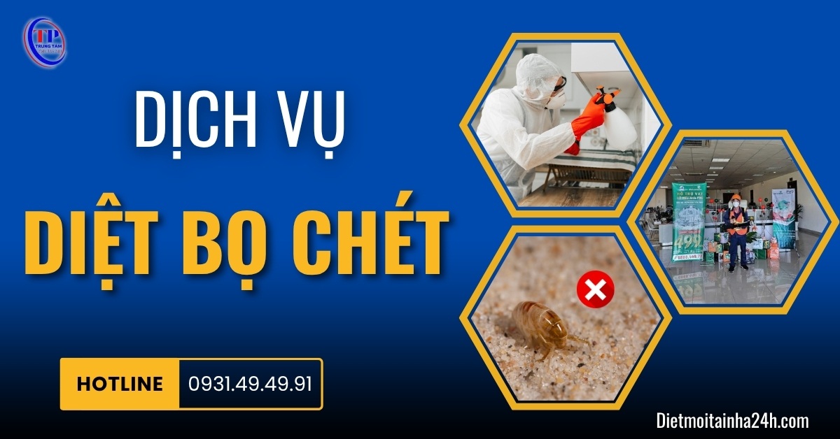 Dịch vụ diệt bọ chét tận gốc 99.8% GIÁ RẺ hiệu quả