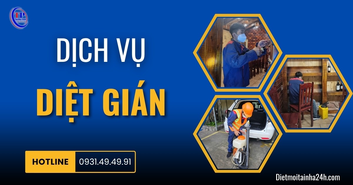 Dịch vụ diệt gián chuyên nghiệp GIÁ RẺ hiệu quả lâu dài