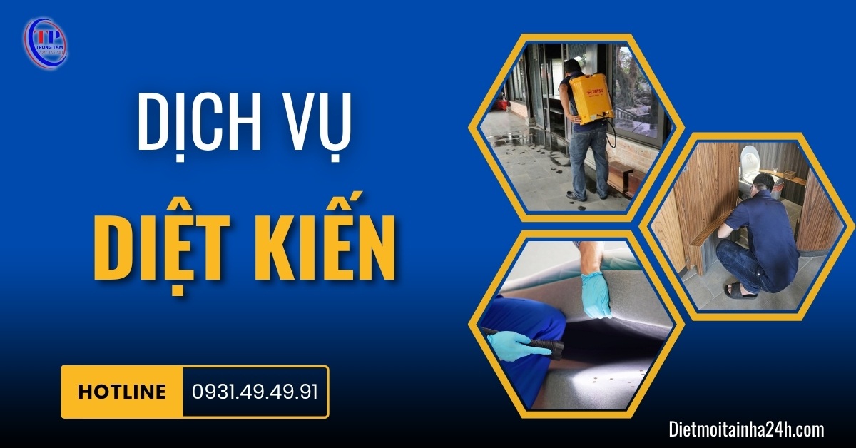 Dịch vụ diệt kiến uy tín giá tốt AN TOÀN bảo hành dài hạn
