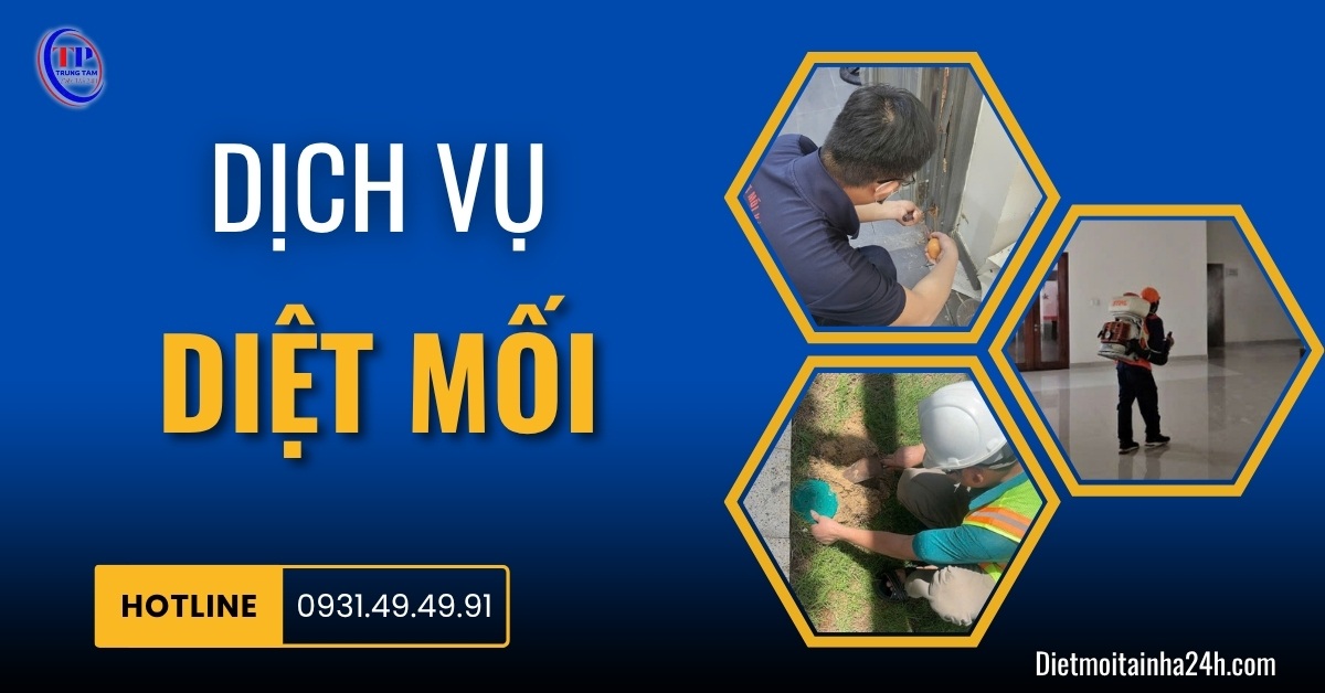 Dịch vụ diệt mối tận gốc CHUYÊN NGHIỆP bảo hành dài hạn
