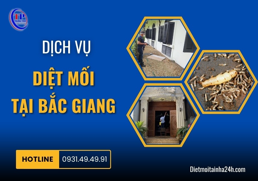 Dịch vụ diệt mối tại Bắc Giang chuyên nghiệp HIỆU QUẢ an toàn
