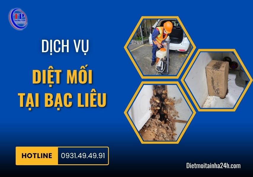 Dịch vụ diệt mối tại Bạc Liêu chuyên nghiệp