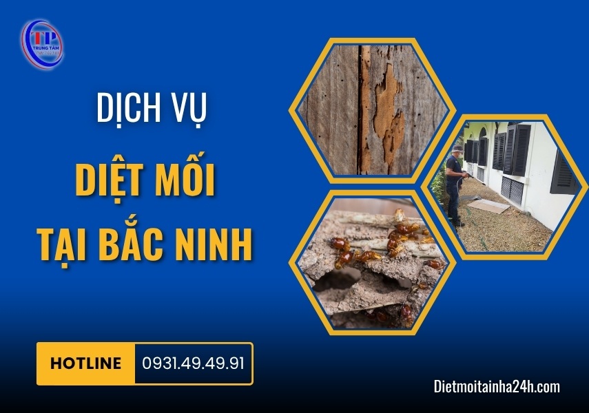 Dịch vụ diệt mối tại Bắc Ninh hiệu quả uy tín GIÁ RẺ