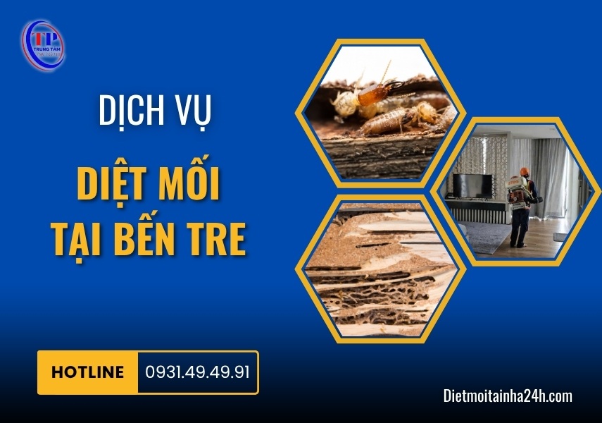 Dịch vụ diệt mối tại Bến Tre TẬN GỐC bảo hành dài hạn