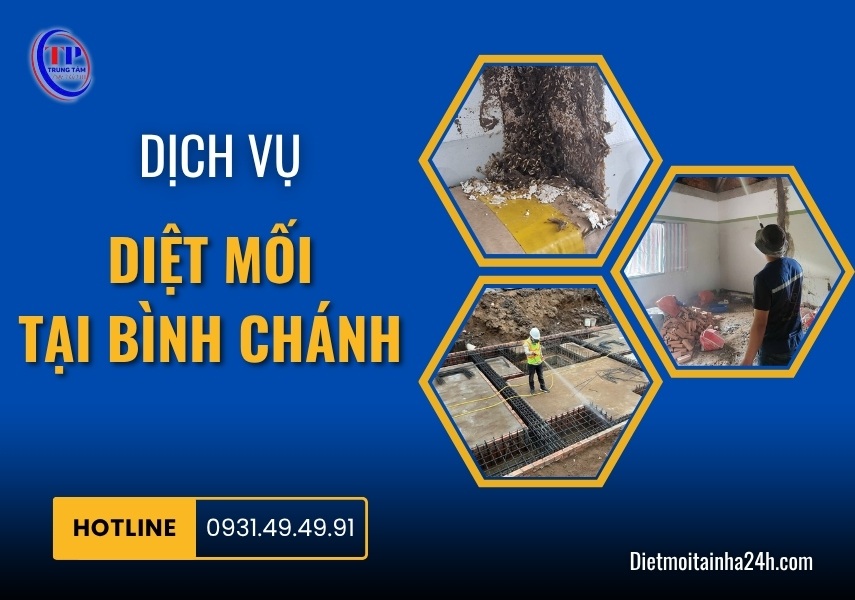 Dịch vụ diệt mối tại Bình Chánh tận gốc [BÁO GIÁ 2025]