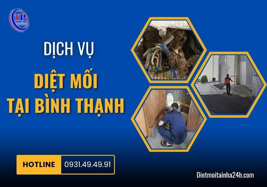 Dịch vụ diệt mối tại Bình Thạnh giá rẻ TRIỆT ĐỂ uy tín