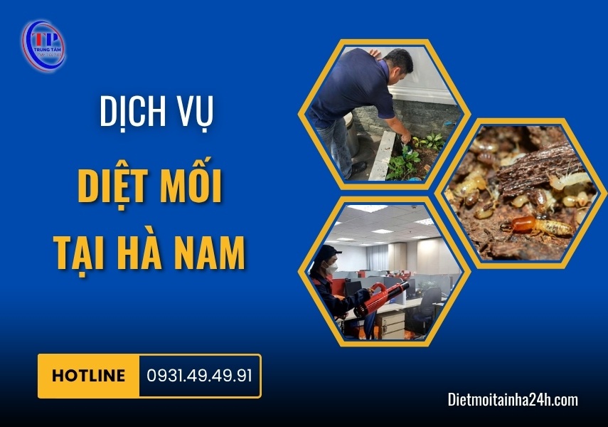 Dịch vụ diệt mối tại Hà Nam uy tín giá tốt TẬN GỐC 99.8%
