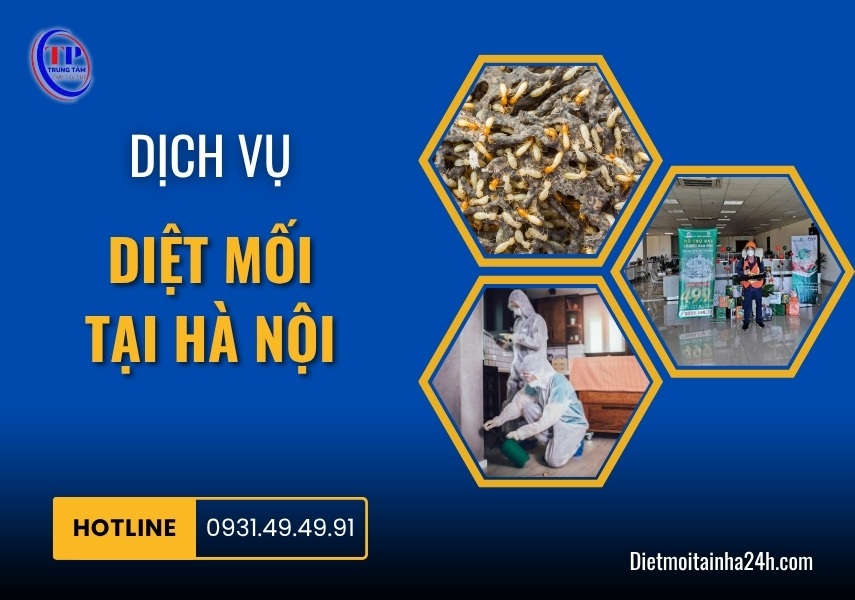 Dịch vụ diệt mối tại Hà Nội tận gốc an toàn giá rẻ NHẤT