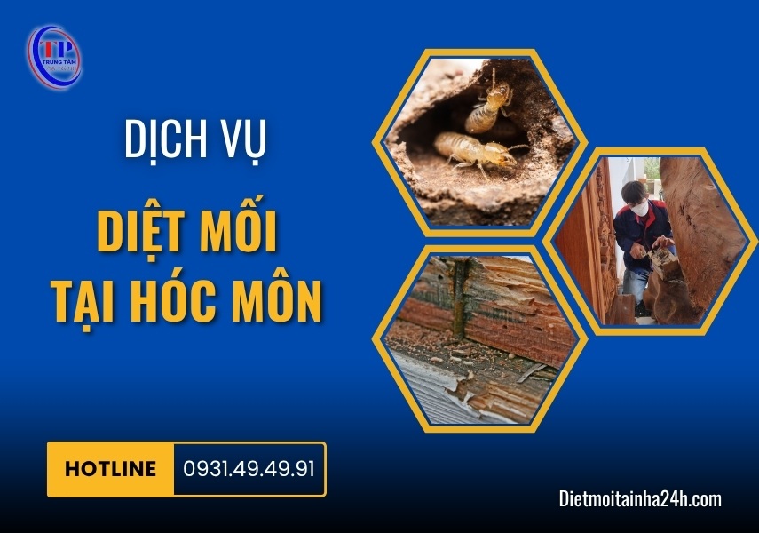 Dịch vụ diệt mối tại Hóc Môn tận gốc an toàn [BÁO GIÁ 2025]