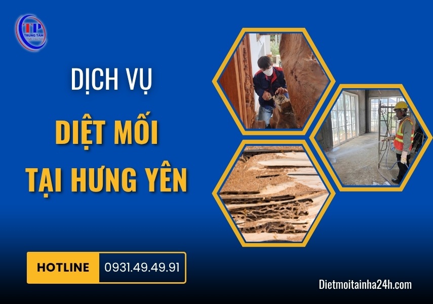 Dịch vụ diệt mối tại Hưng Yên tận gốc GIÁ RẺ an toàn