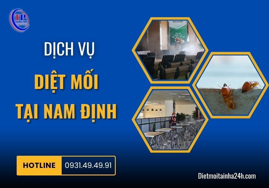 Dịch vụ diệt mối tại Nam Định tận gốc AN TOÀN uy tín