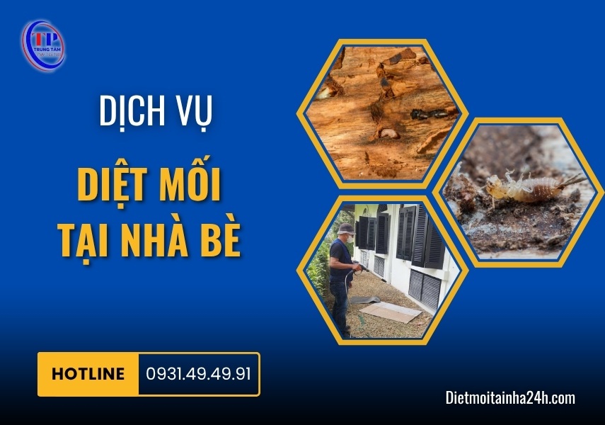 Dịch vụ diệt mối tại Nhà Bè GIÁ RẺ xử lý nhanh tận gốc