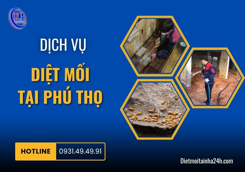 Dịch vụ diệt mối tại Phú Thọ uy tín GIÁ TỐT xử lý tận gốc