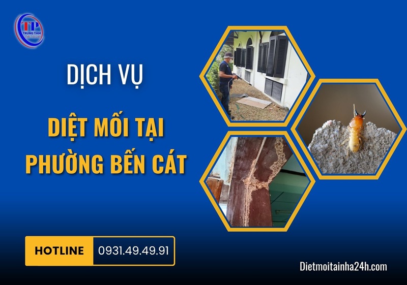 Dịch vụ diệt mối tại Phường Bến Cát TRIỆT ĐỂ giá tốt - Dietmoitainha24h.com