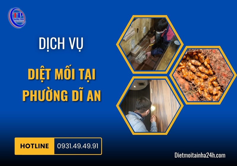 Dịch vụ diệt mối tại Phường Dĩ An tận gốc 99.8% GIÁ TỐT - Dietmoitainha24h.com