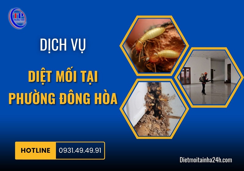 Dịch vụ diệt mối tại Phường Đông Hòa uy tín CHUYÊN NGHIỆP - Dietmoitainha24h.com