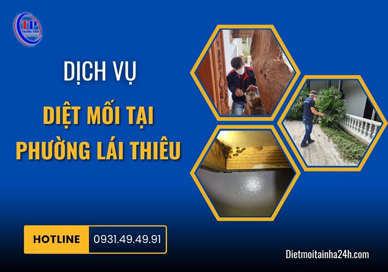 Dịch vụ diệt mối tại Phường Lái Thiêu uy tín GIÁ TỐT - Dietmoitainha24h.com