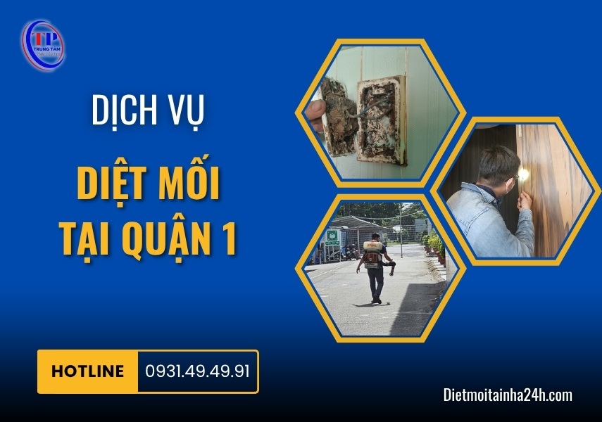 Dịch vụ diệt mối tại Quận 1 uy tín CHUYÊN NGHIỆP giá rẻ