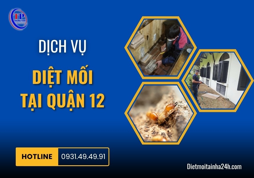 Dịch vụ diệt mối tại Quận 12 tận gốc GIÁ RẺ chuyên nghiệp 