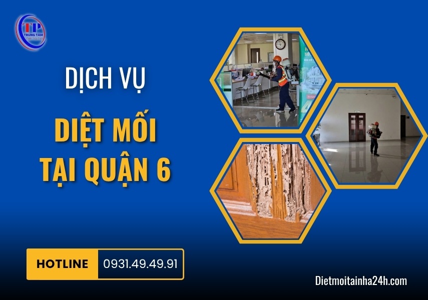 Dịch vụ diệt mối tại Quận 6 uy tín CHUYÊN NGHIỆP giá tốt
