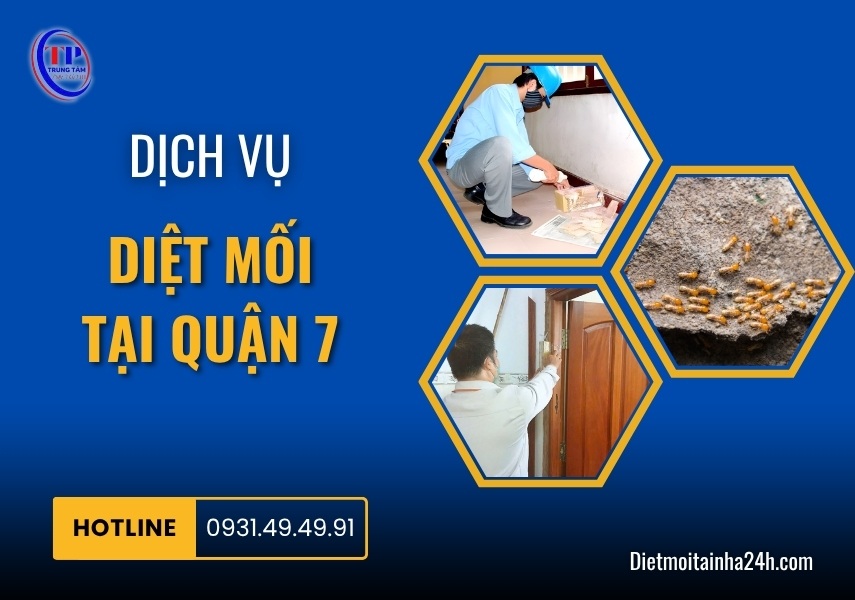 Dịch vụ diệt mối tại Quận 7 GIÁ RẺ tận gốc an toàn