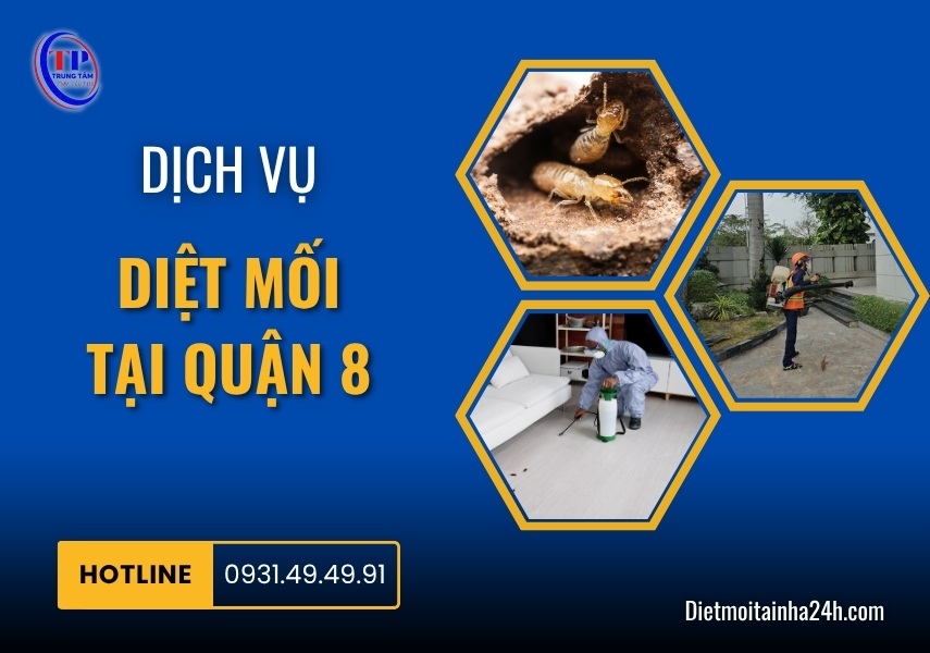 Dịch vụ diệt mối tại Quận 8 uy tín TẬN GỐC giá rẻ