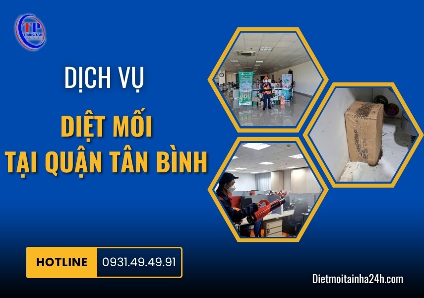 Dịch vụ diệt mối tại Quận Tân Bình uy tín TẬN GỐC giá rẻ