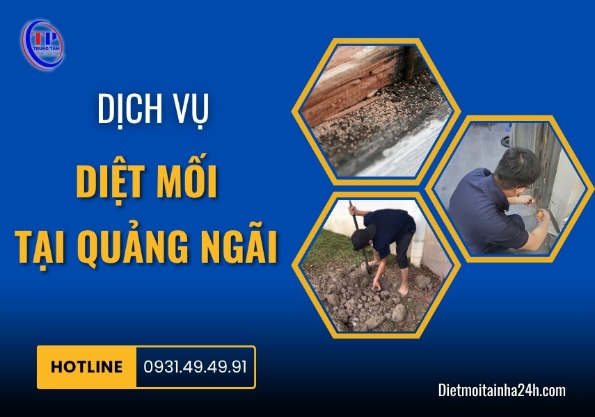 Dịch vụ diệt mối tại Quảng Ngãi tận gốc CHUYÊN NGHIỆP