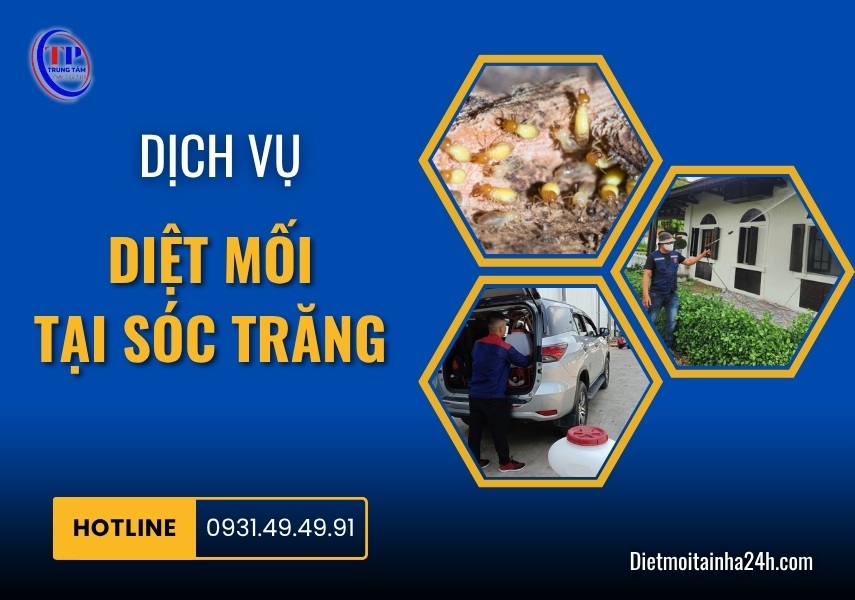 Dịch vụ diệt mối tại Sóc Trăng TẬN GỐC uy tín không tái phát