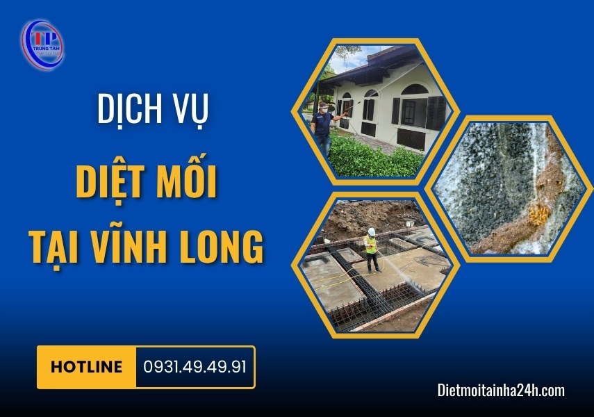 Dịch vụ diệt mối tại Vĩnh Long uy tín CHUYÊN NGHIỆP