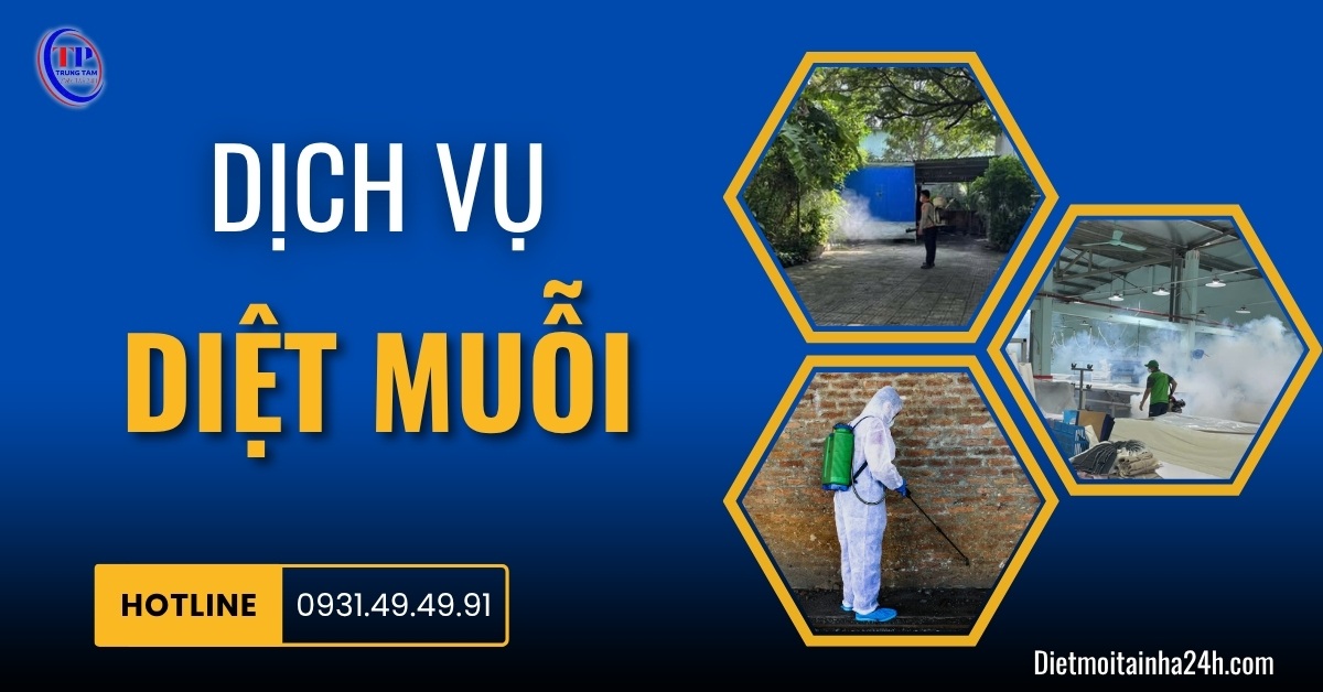 Dịch vụ diệt muỗi giá rẻ nhanh chóng AN TOÀN hiệu quả