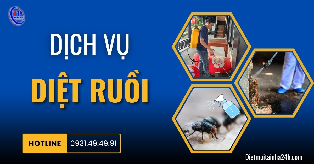 Dịch vụ diệt ruồi chuyên nghiệp HIỆU QUẢ nhanh chóng