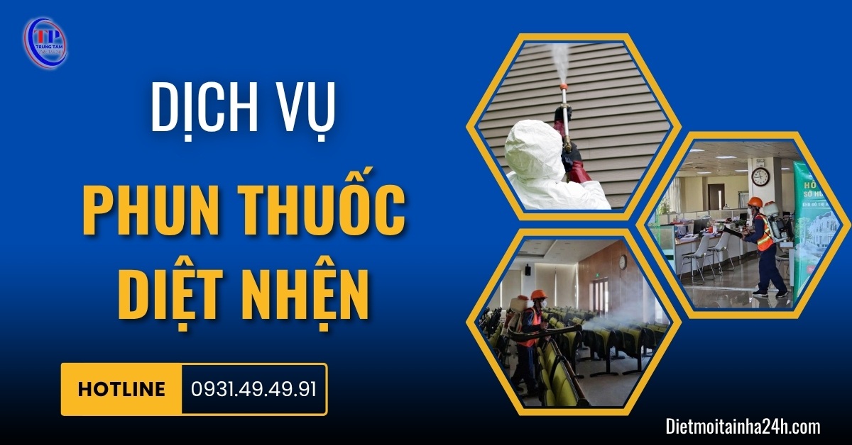 Dịch vụ phun thuốc diệt nhện tận gốc an toàn GIÁ RẺ