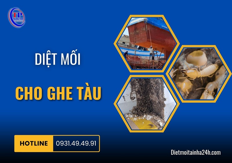 Diệt mối cho ghe tàu chuyên nghiệp uy tín GIÁ TỐT - Dietmoitainha24h.com