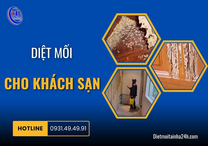 Diệt mối cho khách sạn hiệu quả GIÁ RẺ [BÁO GIÁ 2026] - Dietmoitainha24h.com